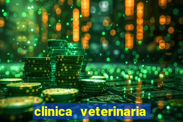 clinica veterinaria cuidar betim